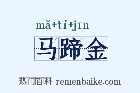 马蹄金是什么意思的图片